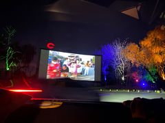 -枫花园汽车电影院(朝阳公园店)