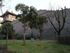 -唐城墙遗址公园