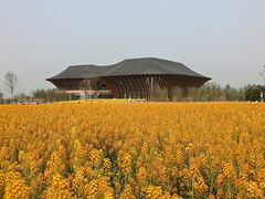 -中国天府农业博览园