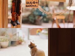 -懒鱼时光馆(沙坪坝店)