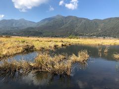 -腾冲北海湿地