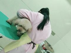 -佳雯宠物医院(四明中路分院)