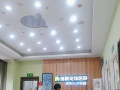 -瑞鹏宠物医院·夜间急症·心超·猫科(祖庙分店)