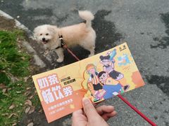 -丁莲芳(红旗路店)