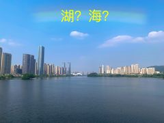 -梅溪湖城市岛