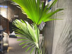 -陈熹公民族美食文化餐厅(中华广场店)