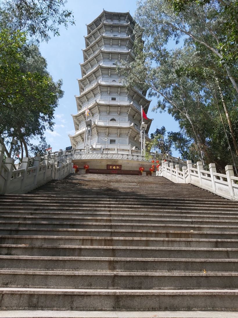 秀雅的园博园-深圳吃喝玩乐-大众点评社区