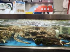 -盒马鲜生(189购物中心店)