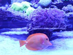 -海合安武汉极地海洋公园