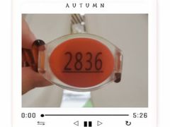 -东方之珠洗浴休闲广场(南开店)