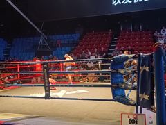 -芭提雅MAX泰拳馆