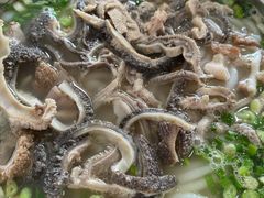 -攀枝花·任德琼·盐边羊肉米线