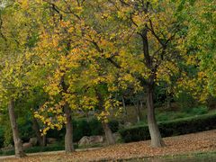 -白塘生态植物园