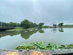 -水岸居湖景农家乐·阳澄湖大闸蟹