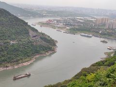 -铁山坪森林公园