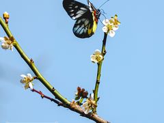 -荔枝公园(福田区)