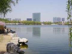 -大兴滨河森林公园