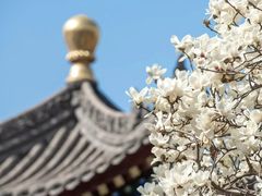 -西安市广仁寺