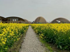 -中国天府农业博览园