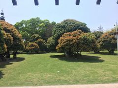 -宝安西湾红树林湿地公园