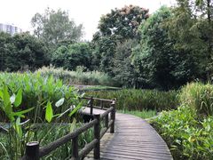 -成都市活水公园