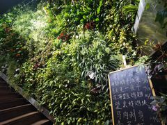 -森味薪火烧•烧鸟居酒屋•日本料理(望京店)