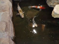 -鸥迪足道(湖南示范店)