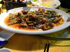 -鸽王世家(东华东路店)