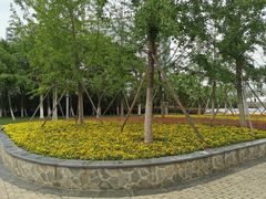 -天鹅湖体育公园