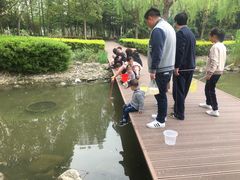 -苏州河梦清园环保主题公园