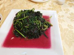 -阳江餐厅·26年老字号·粤菜海鲜大排档