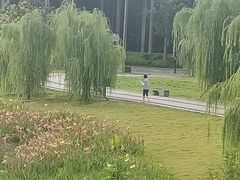 -南宁南湖公园