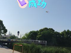 -新江湾城公园