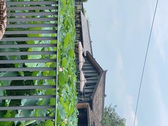 -莫催咖啡