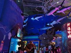 -烟台海昌鲸鲨海洋公园