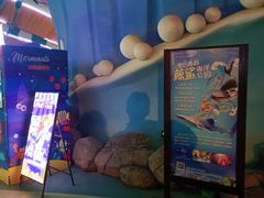 -烟台海昌鲸鲨海洋公园