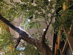 -九田家黑牛烤肉料理(珠江摩尔店)