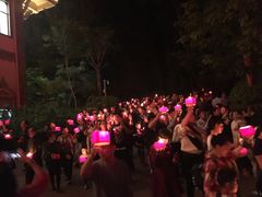 -澜沧江湄公河之夜歌舞篝火晚会