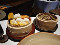 -松赞拉萨林卡酒店