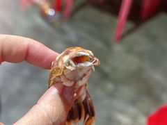 -胜海大排档·海鲜·黄鳝饭(十年老店)