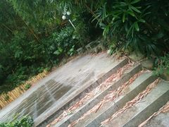 -人民公园(罗湖区)