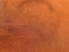 -双合园·海鲜水饺青岛菜(九水东路店)