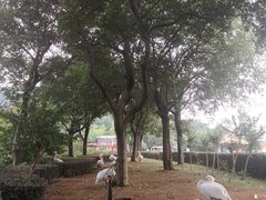 -无锡动物园·太湖欢乐园