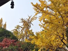 -北寺塔
