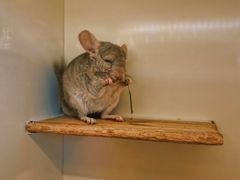 -龙猫仔乐园(惠福东路店)