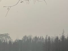 -白鹭湾湿地公园