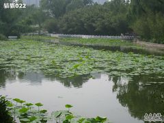 -紫竹院公园冰场