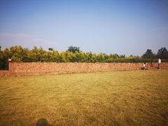 -白鹭湾湿地公园