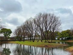 -西溪国家湿地公园