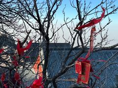 -泰山风景名胜区